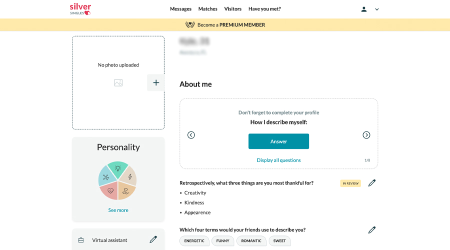 silversingles setting up profile